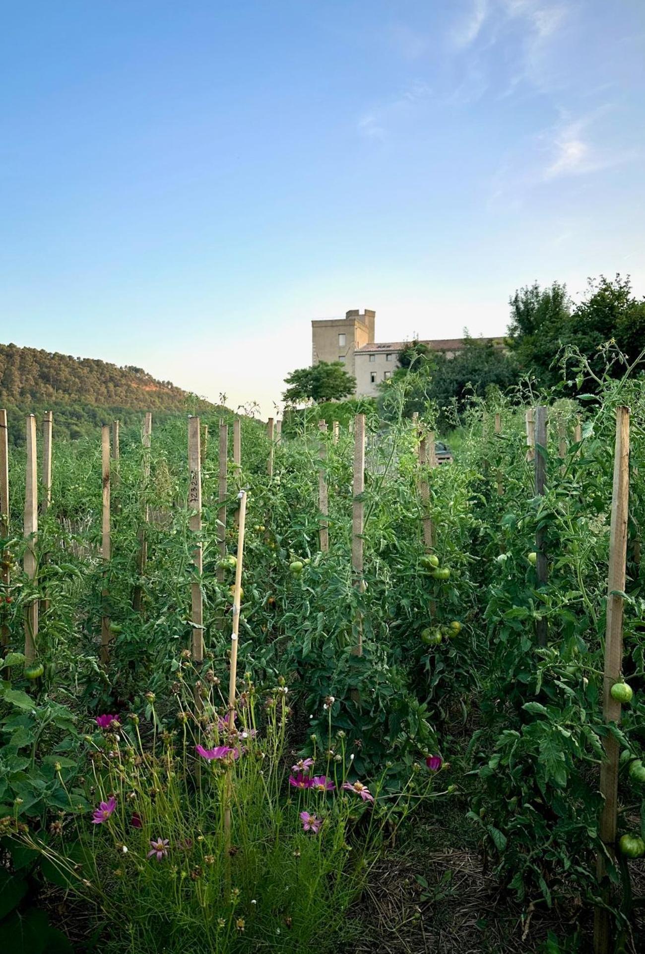 Bed and Breakfast Domaine La Ferme Hi Bride Villelaure Esterno foto